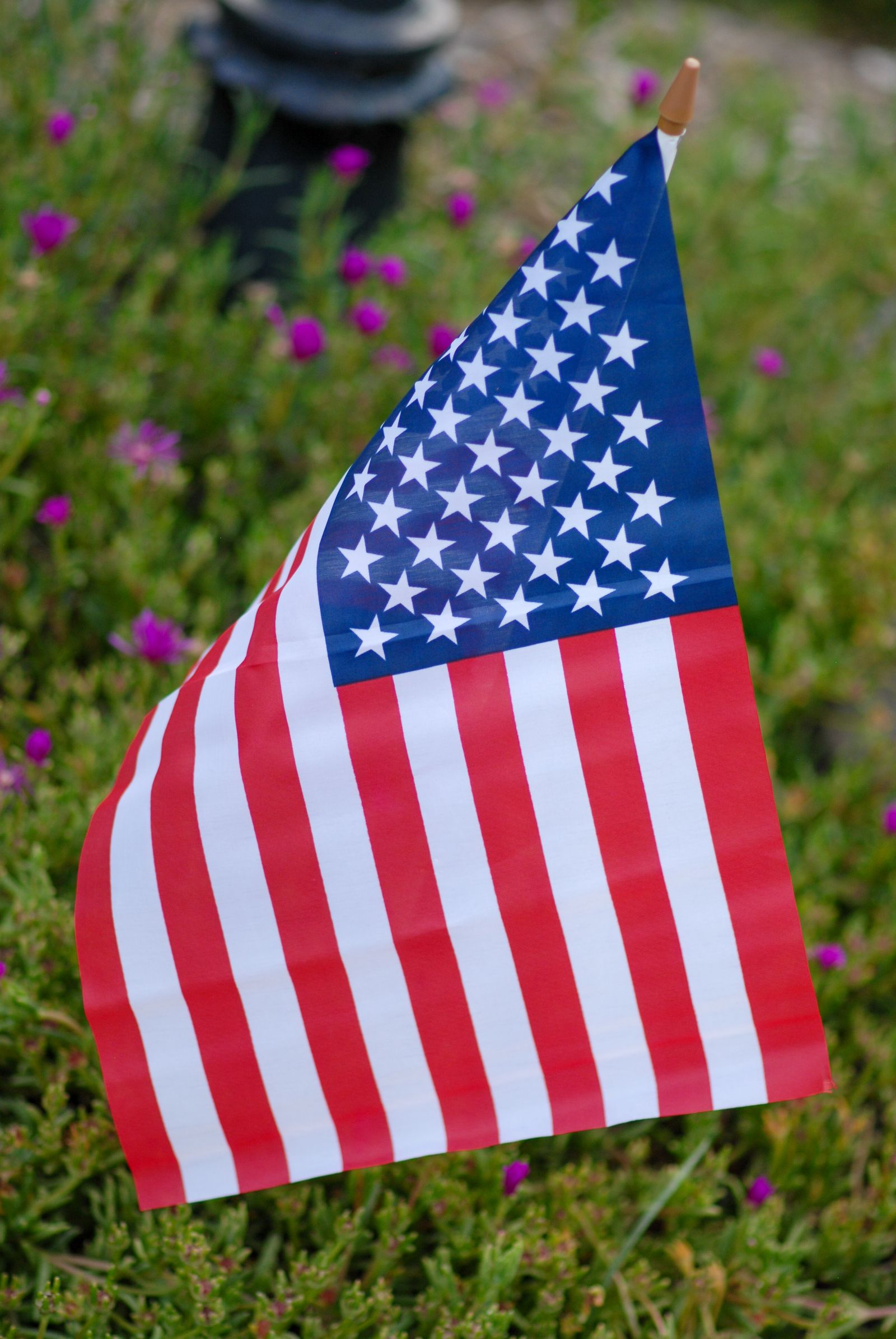 A small American flag planted among garden flowers, photographed by Mike Loerop