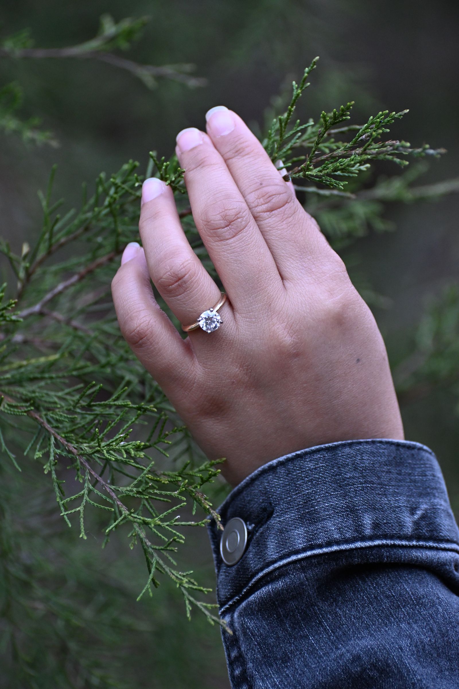 A hand with an engagement ring resting on evergreen branches, photographed by Mike Loerop
